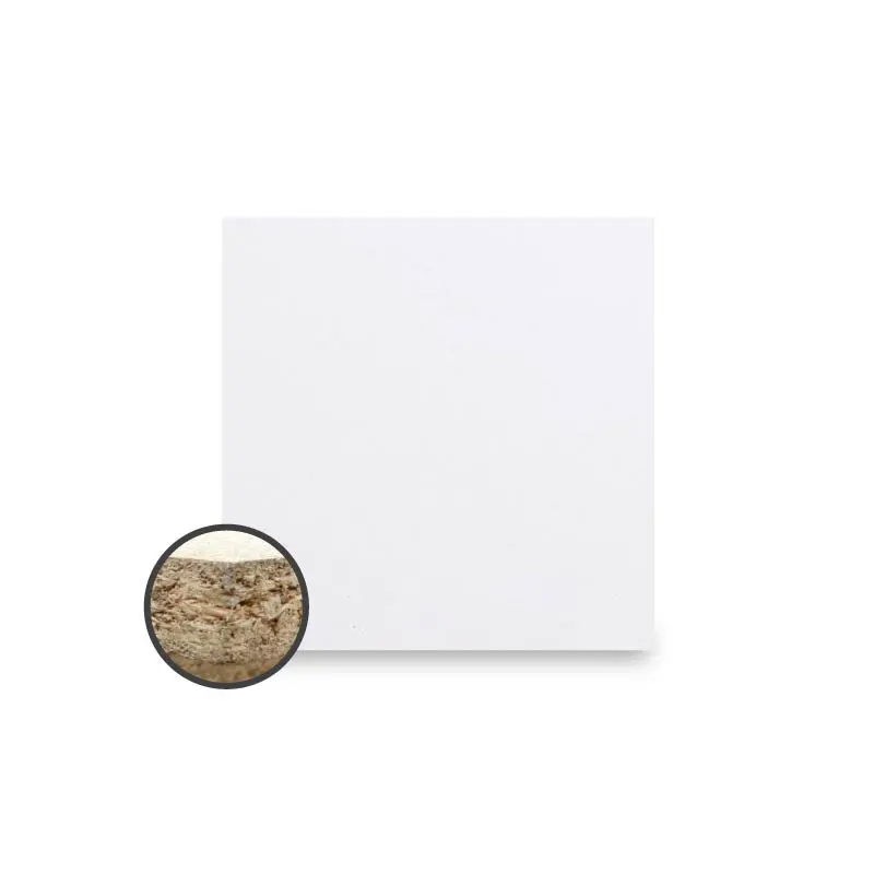 +PARTICLE BOARD VP LAM.VM10120 18X1220X2440MM WHT